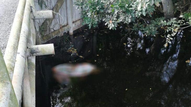 Tiran un cuerpo a un dren en Macultepec Tiran un cuerpo a un dren en Macultepec