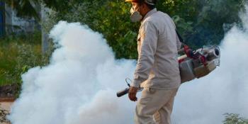 Aumentan defunciones por dengue en Tabasco a 9; es primer lugar nacional en decesos