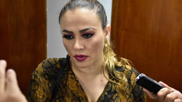 Andrés Manuel no viene solo a tomarse la foto: Diputada Andrés Manuel no viene solo a tomarse la foto: Diputada