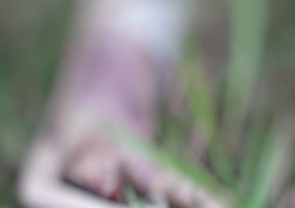 Ejecutan a un hombre en Cárdenas Ejecutan a un hombre en Cárdenas