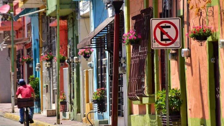 Con hermosas petunias florece la calle Iguala de Villahermosa Con hermosas petunias florece la calle Iguala de Villahermosa