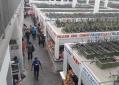 Comercios en Tabasco cierran sus puertas para evitar propagación del Coronavirus