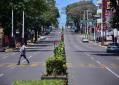 Con letreros piden no cortar árboles en crecimiento en calle de Quintín Arauz