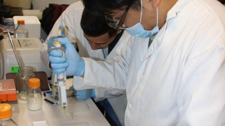 IPN reclutará a pacientes con Covid-19 para probar tratamiento IPN reclutará a pacientes con Covid-19 para probar tratamiento