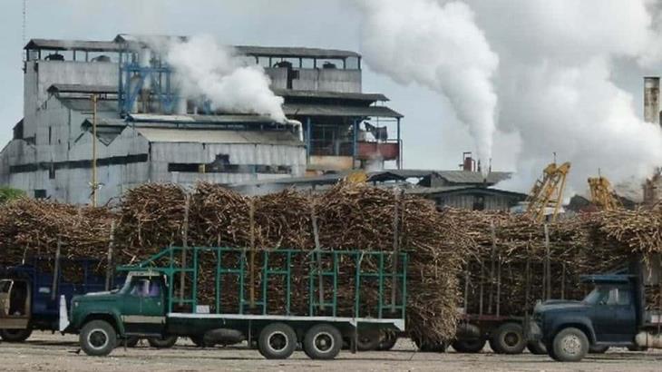 Comprará Estados Unidos más azúcar a productores mexicanos: Economía Comprará Estados Unidos más azúcar a productores mexicanos: Economía
