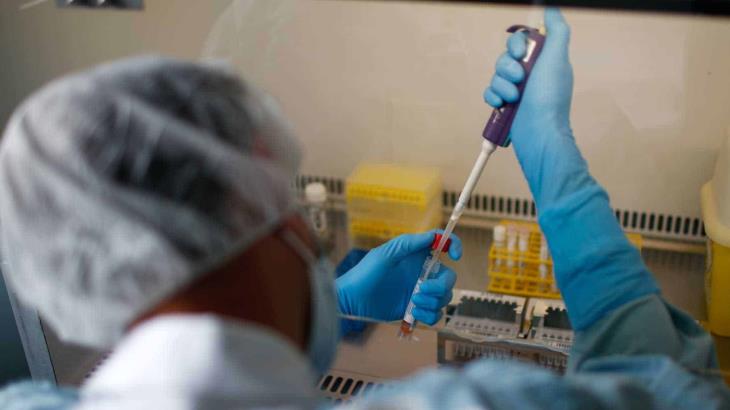 Covid-19 muta en el país, científicos mexicanos han detectado dos nuevas cepas del virus Covid-19 muta en el país, científicos mexicanos han detectado dos nuevas cepas del virus