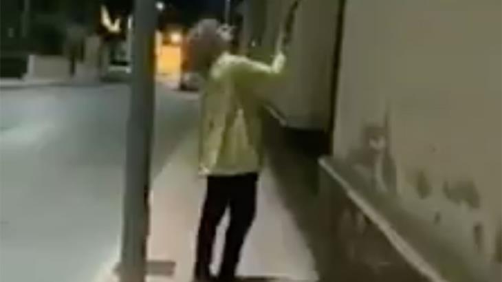 Exhiben a mujer por destrozar a escobazos más de 50 nidos de golondrinas en España Exhiben a mujer por destrozar a escobazos más de 50 nidos de golondrinas en España