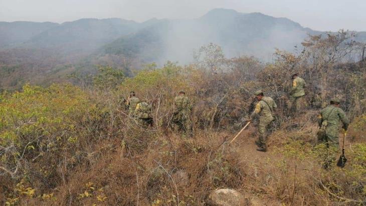Incendios en 10 estados del país consumen más de 20 mil hectáreas de vegetación: SEDENA Incendios en 10 estados del país consumen más de 20 mil hectáreas de vegetación: SEDENA