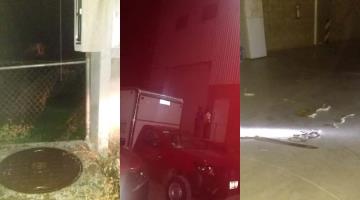 Roban en caja fuerte en bodegas de Avon ubicadas en la Villahermosa-Frontera