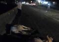 Carambola de autos deja dos personas lesionadas en Cárdenas