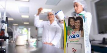 Proponen dos consultas populares por año en Tabasco, mediante sistema electrónico