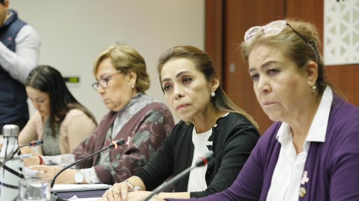Proponen en el Senado etiquetar juguetes bélicos para alertar sobre violencia Proponen en el Senado etiquetar juguetes bélicos para alertar sobre violencia