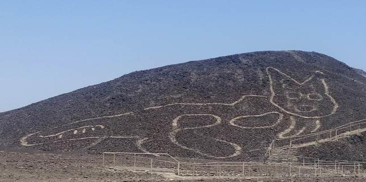 Anuncian descubrimiento de nuevo geoglifo en forma de gato en Nazca Anuncian descubrimiento de nuevo geoglifo en forma de gato en Nazca