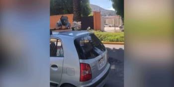 Afirma el PRI que arrasó en elecciones de Coahuila