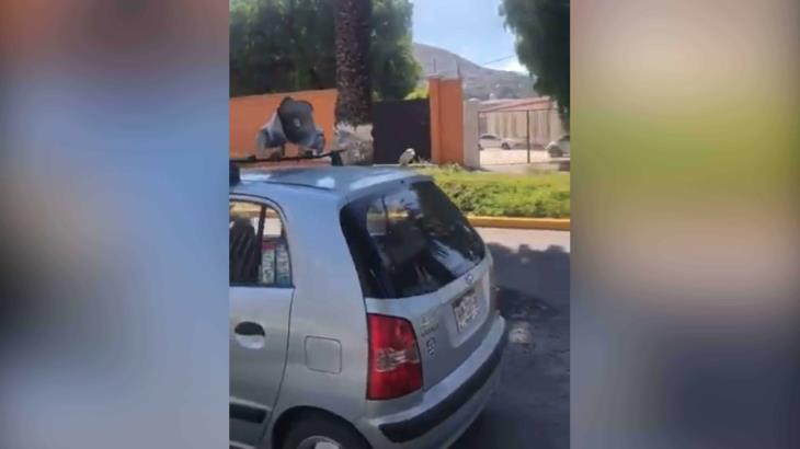 Con perifoneo en plena jornada electoral en Hidalgo, piden a ciudadanos quedarse en casa; conductor dice no saber quién lo contrató Con perifoneo en plena jornada electoral en Hidalgo, piden a ciudadanos quedarse en casa; conductor dice no saber quién lo contrató