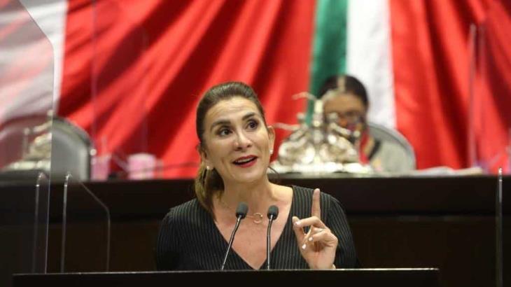 Critica Soraya Pérez que no se le haya asignado al INE presupuesto para consulta Popular sobre ex presidentes Critica Soraya Pérez que no se le haya asignado al INE presupuesto para consulta Popular sobre ex presidentes