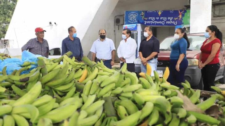 Donan productores plataneros de La Isla casi 4 toneladas para refugios temporales Donan productores plataneros de La Isla casi 4 toneladas para refugios temporales