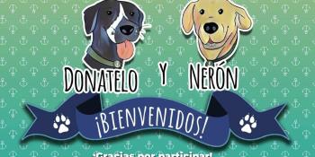 Ya tienen nombre los dos perros rescatados por la Marina en las inundaciones en Tabasco