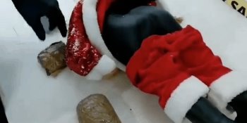 Asegura Guardia Nacional 1300 pastillas de fentanilo y 310 gramos de metanfetamina en el aeropuerto de Sinaloa
