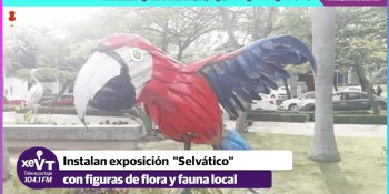 Instalan en el Tomás Garrido exposición "Selvático" en su primera etapa