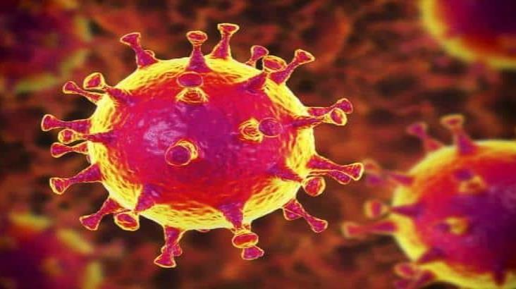 Científicos analizan si el COVID-19 es un virus de laboratorio Científicos analizan si el COVID-19 es un virus de laboratorio