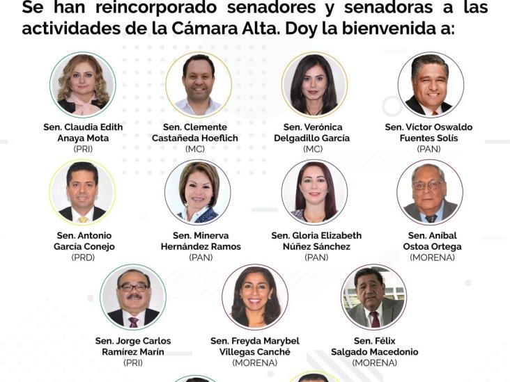 Tras el triunfo de “La Torita” en Guerrero, Félix Salgado regresa al Senado Tras el triunfo de “La Torita” en Guerrero, Félix Salgado regresa al Senado