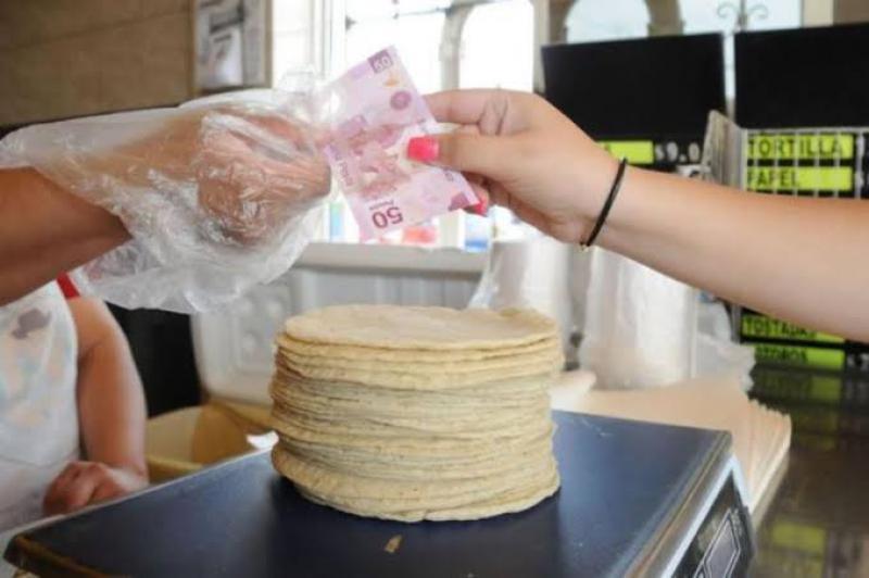 Piden industriales de la masa en Tabasco, reglamento para evitar incrementos y disparidad en precios de la tortilla Piden industriales de la masa en Tabasco, reglamento para evitar incrementos y disparidad en precios de la tortilla