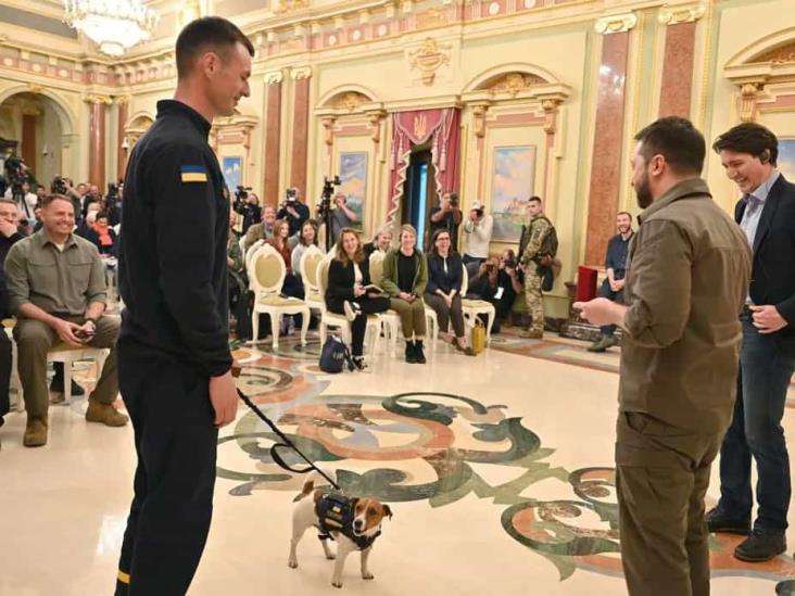Gobierno de Ucrania condecora a “Patrón”, un perro que ha encontrado más de 200 explosivos en el país Gobierno de Ucrania condecora a “Patrón”, un perro que ha encontrado más de 200 explosivos en el país