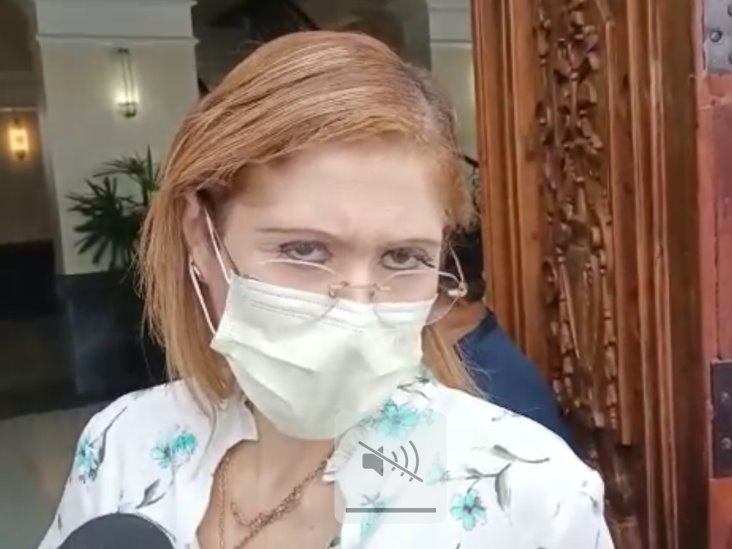 Reportan sin avance significativo en la SCJN controversia por ‘Ley Dedazo’ Reportan sin avance significativo en la SCJN controversia por ‘Ley Dedazo’