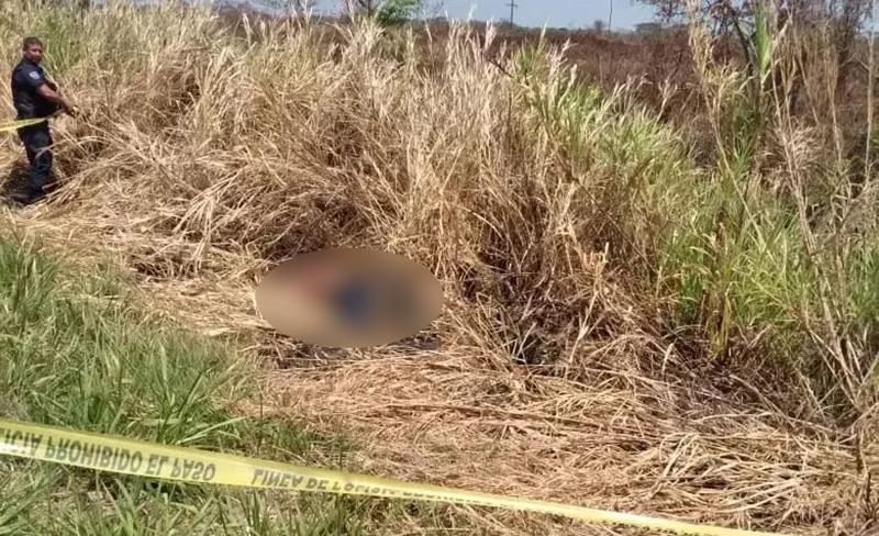Hallan a sujeto golpeado y muerto en predio baldío del C-28 Hallan a sujeto golpeado y muerto en predio baldío del C-28