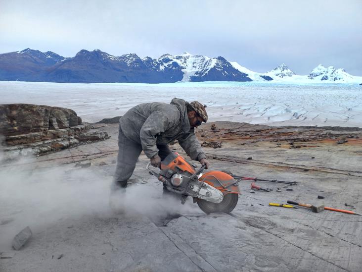 Recuperan fósil intacto de antiguo reptil marino en glaciar chileno Recuperan fósil intacto de antiguo reptil marino en glaciar chileno