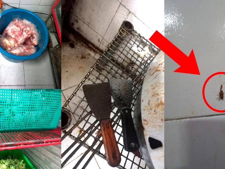 ¡Ya van 4! COFEPRIS suspende ahora restaurante de comida china en Altabrisa ¡Ya van 4! COFEPRIS suspende ahora restaurante de comida china en Altabrisa