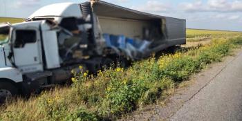 Se accidenta tráiler en Matamoros y hallan toneladas de perros y gatos muertos
